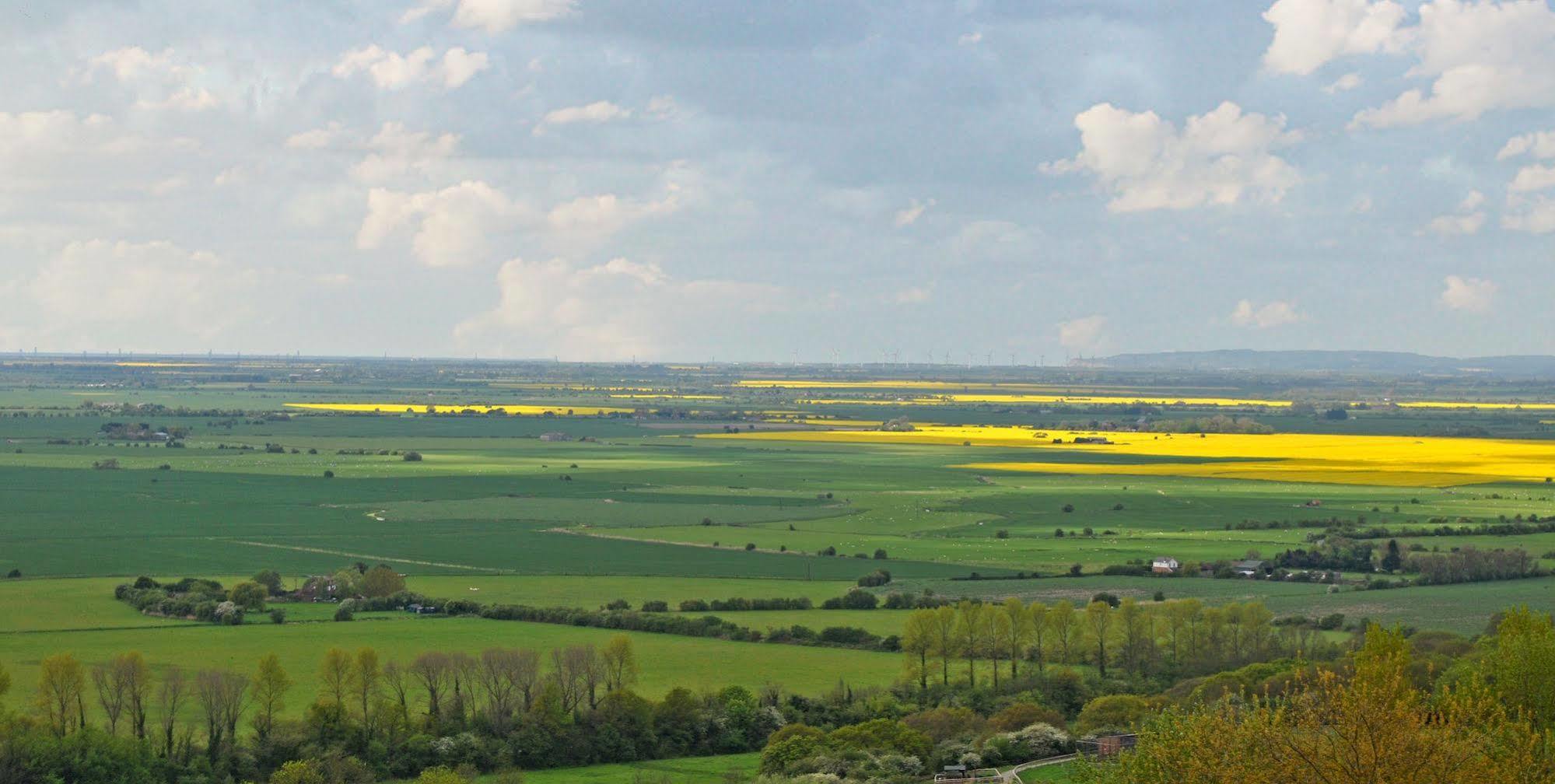 Bear Lodge - Glamping Lympne المظهر الخارجي الصورة